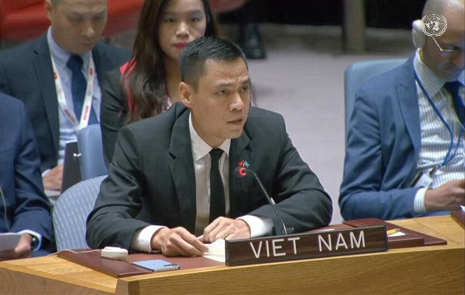 越南驻联合国代表团团长邓黄江大使。（图片来源：越通社）