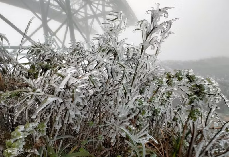 越南老街省番西邦峰出现霜冻现象。