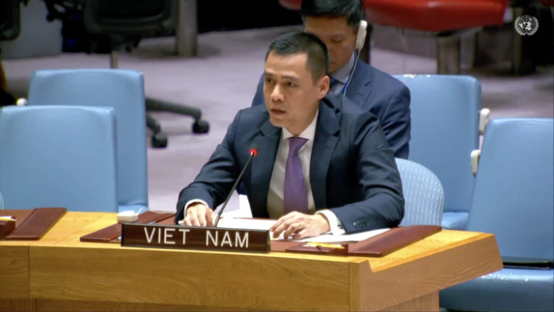 越南常驻联合国代表团团长邓黄江大使。（图片来源：越通社）