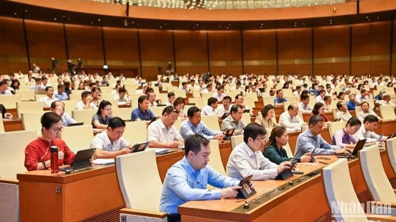 国会代表6月5日出席国会会议。