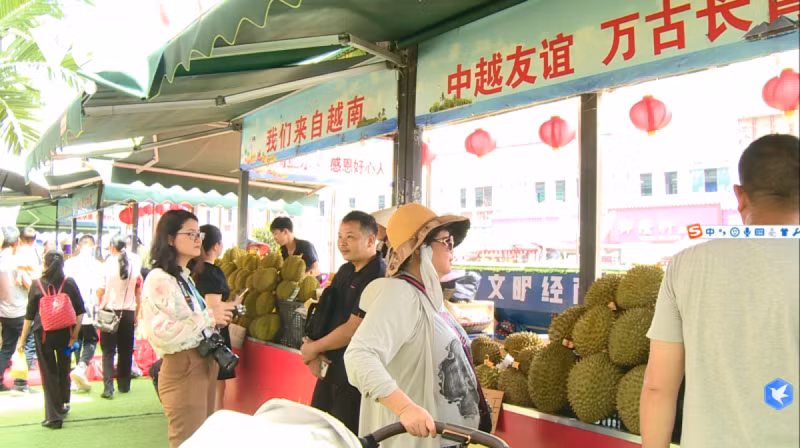 在东兴市，越南榴莲广受欢迎。（图片来源：VOV）