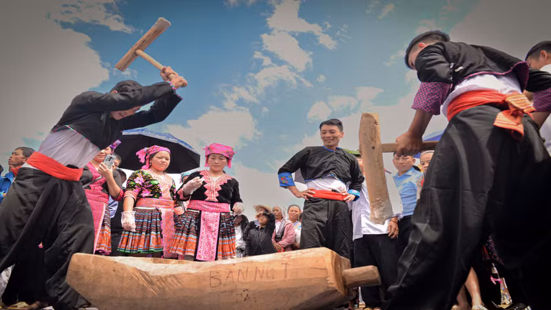 健康男青年连续把糯米饭放在一个木槽里,然后将之舂至绵软柔韧。 健康男青年连续把糯米饭放在一个木槽里,然后将之舂至绵软柔韧。