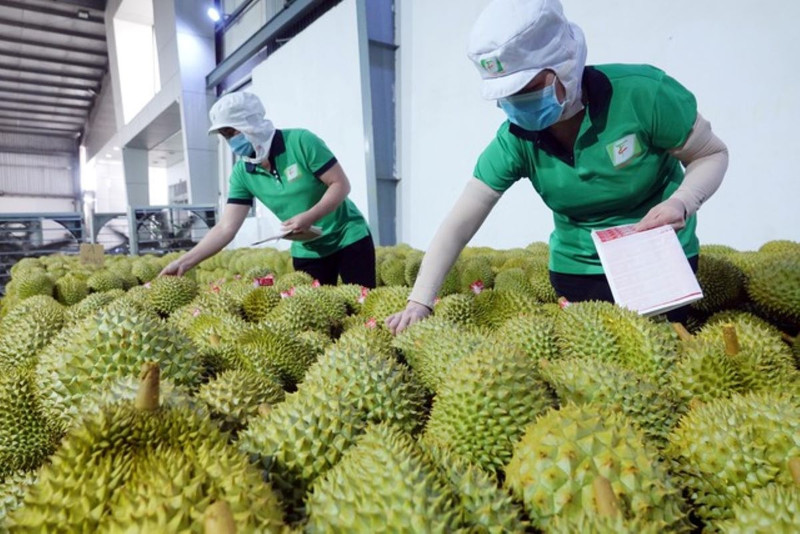 2023年越南农林水产品出口刻下的印记