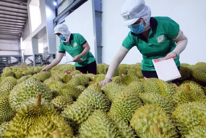 2023年越南农林水产品出口刻下的印记