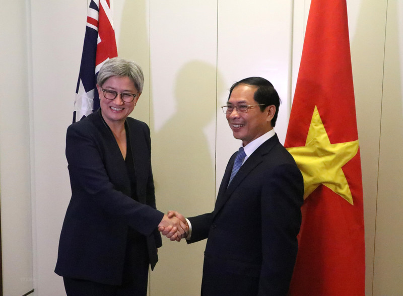 越南外长裴青山和澳大利亚外长黄英贤。（图片来源：越通社）