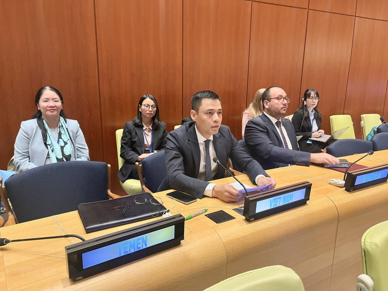 越南常驻联合国代表团团长邓黄江大使在谈论上发表讲话。（图片来源：越通社）