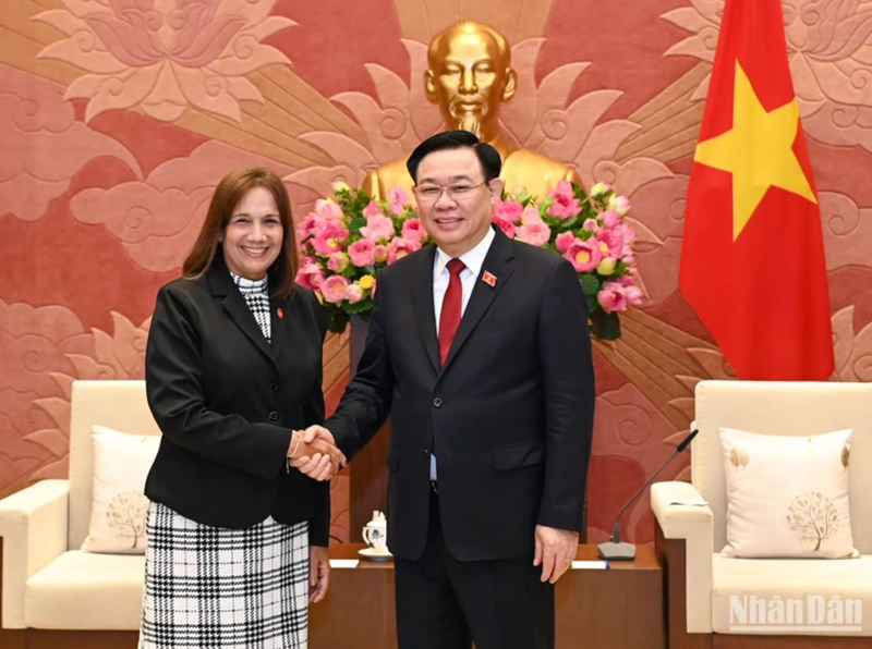 越南国会主席王廷惠会见古巴全国人民政权代表大会副主席安娜·玛丽亚·马里·马查多。