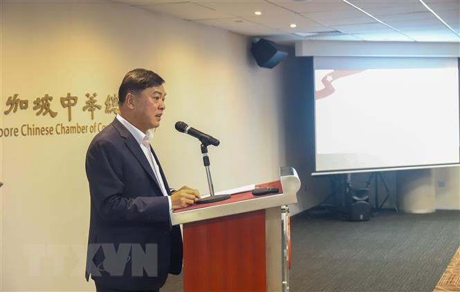 越南驻新加坡大使梅福勇在座谈会上发表讲话。（图片来源：越通社）