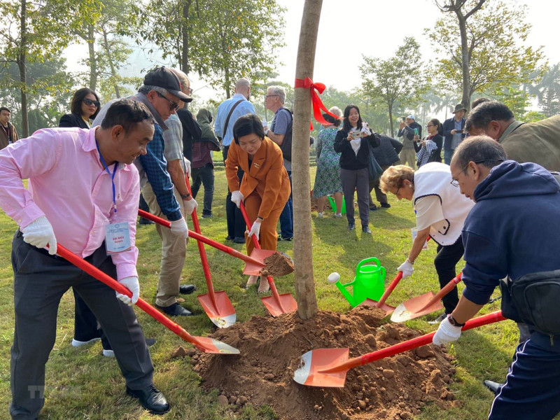 越南和国际代表种下友谊树。（图片来源：越通社）