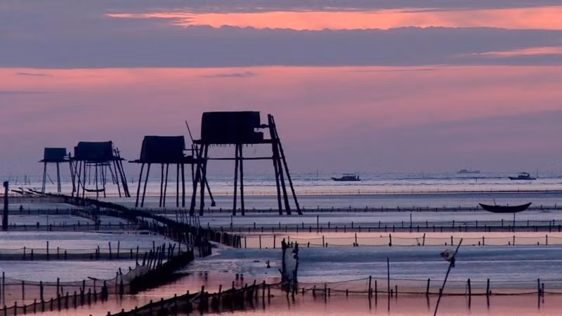 太平省同洲海滩。