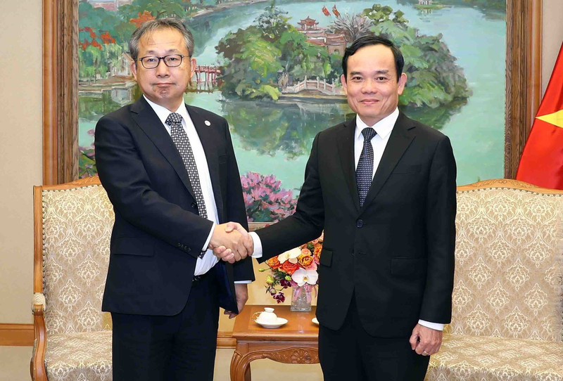 越南政府副总理陈流光会见日本驻越南特命全权大使山田贵雄。（图片来源：越通社）