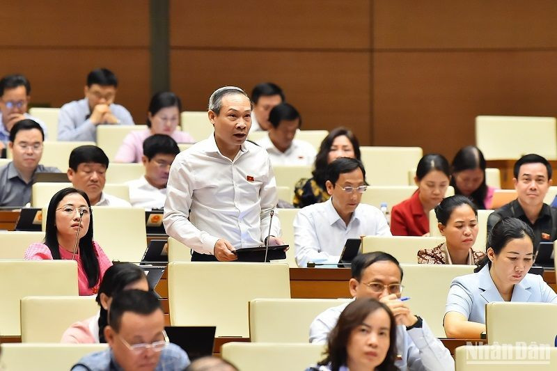 太平省国会代表潘德孝发表讲话。