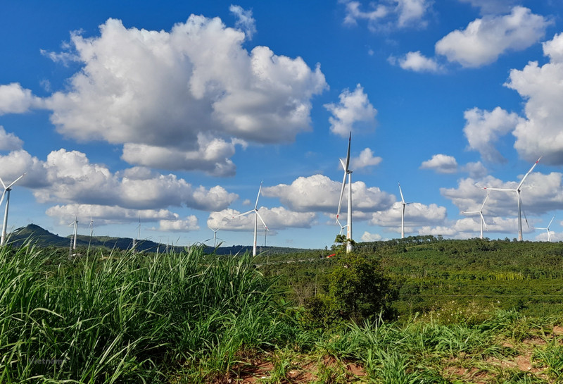 到2040年越南需要约4000亿美元应对气候变化 
