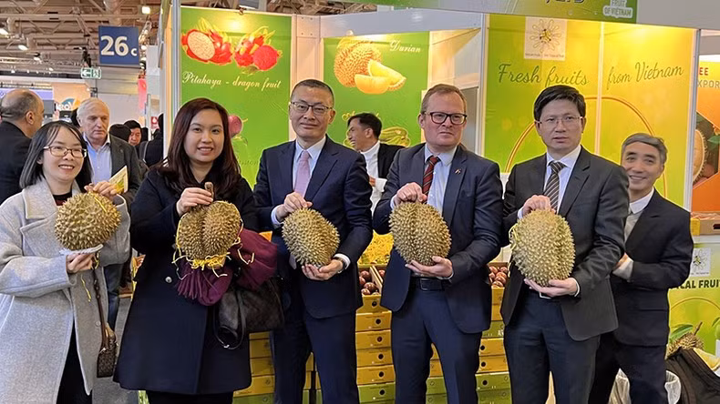 推动贸易促进活动，为出口企业攻坚克难。