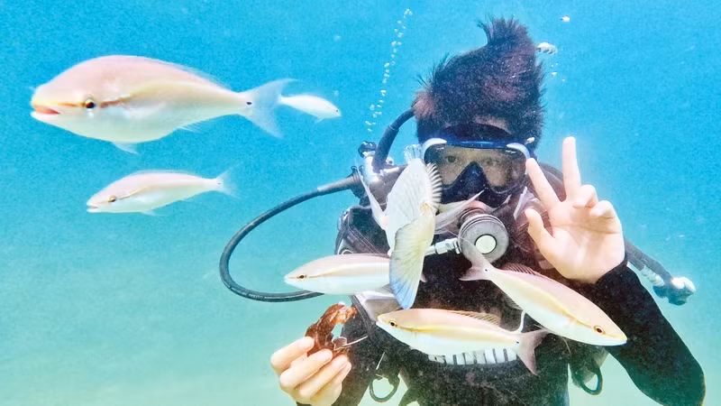 游客在姑苏岛潜水。