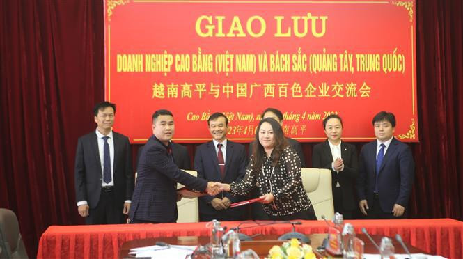 越南高平省和中国广西壮族自治区百色市的企业交流会。（图片来源：越通社）