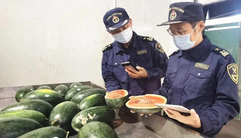 中国海关在友宜关（广西）检查越南西瓜。
