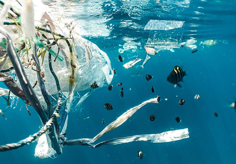 附图。（图片来源：ouroceanpanama2023.gob.pa）