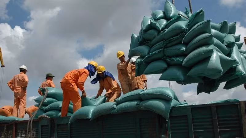 2025年的进出口在新年伊始就出现了许多积极的迹象。