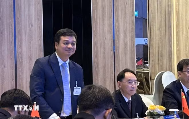 越南地质与矿业局副局长陈美勇。(图片来源:越通社) 越南地质与矿业局副局长陈美勇。(图片来源:越通社)