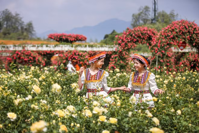 2025年玫瑰节也是4月不容错过的节日。