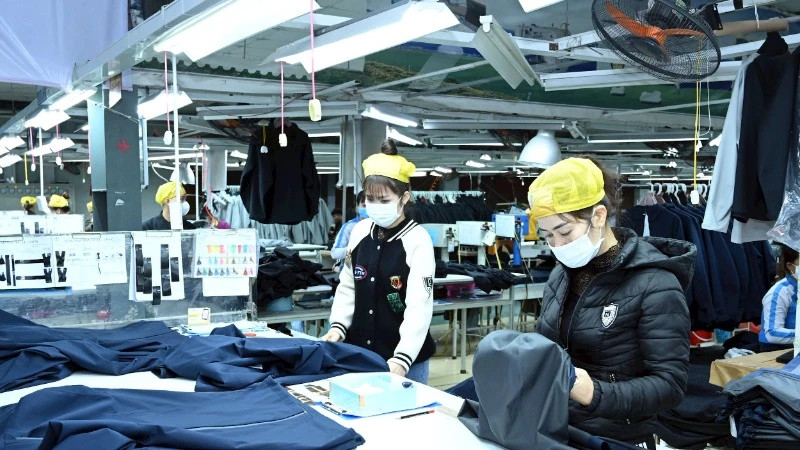 北江服装股份公司的出口生产。 (邓英 摄)