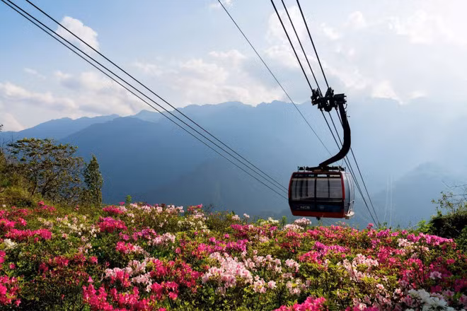 除了徒步游览外，游客可以选择乘坐缆车前往番西邦峰。