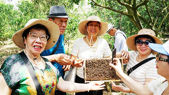 游客对蜂巢特别感兴趣。