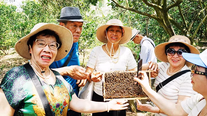 游客对蜂巢特别感兴趣。