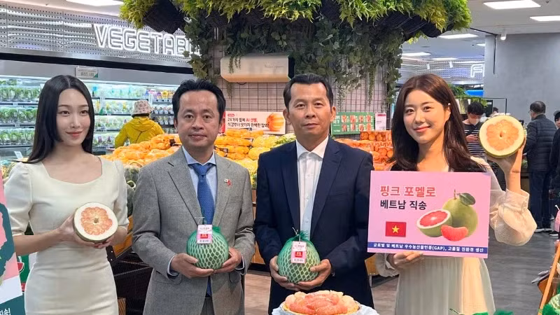 越南柚子正式在韩国乐天超市上架。