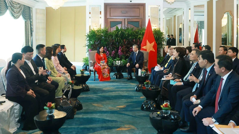 越共中央总书记苏林会见香格里拉医疗投资公司顾问、华林医疗有限责任公司联合创始人陈氏林女士。（图片来源：越通社）