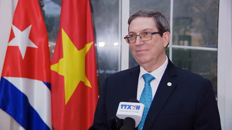 古巴共产党中央政治局委员、外交部长布鲁诺·罗德里格斯·帕里利亚。（图片来源：越通社）