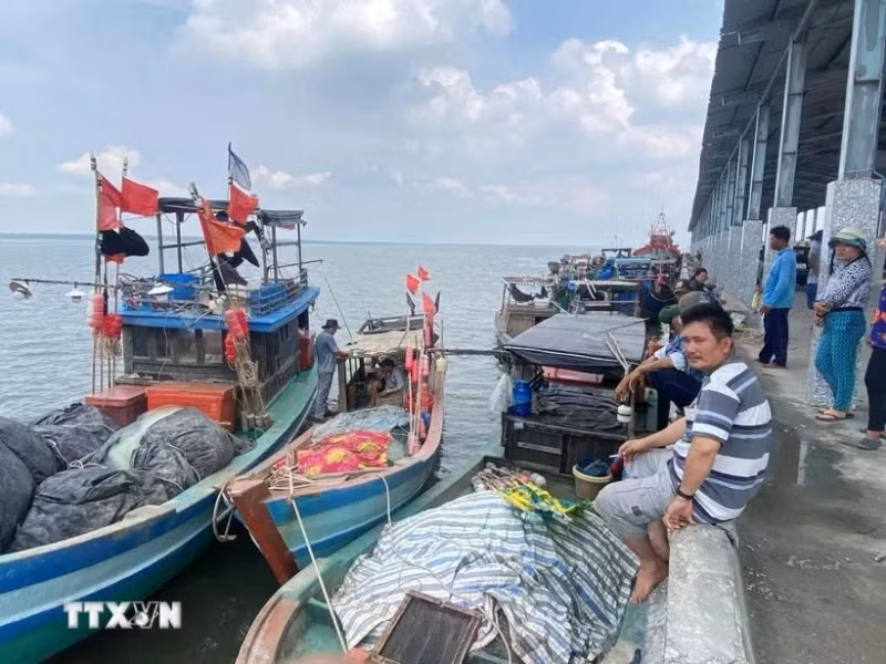 渔民等待完善船舶登记检查程序。（图片来源：越通社）