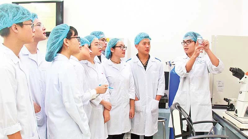 胡志明市国家大学的科研活动。