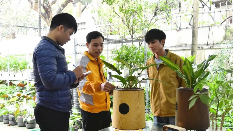 由初创企业TreeoTek研发的采取生物技术的空气净化器产品。（水源 摄）