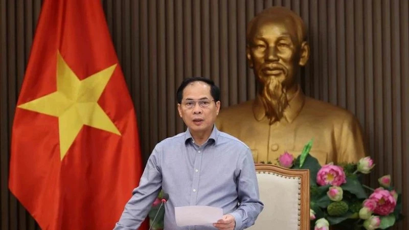 政府副总理、外交部部长、关于ODA与优惠贷款资金的国家指导委员会主任裴青山在会上致辞（图片来源：越通社）