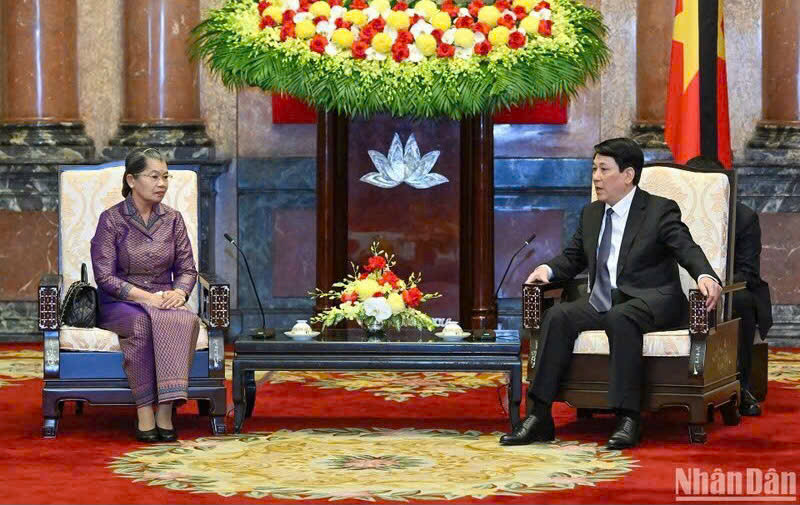 越南国家主席梁强会见柬埔寨人民党副主席梅森安。（图片来源：越通社）
