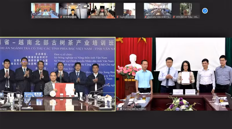 越南全国茶叶协会与云南省普洱茶协会线上签署合作备忘录。