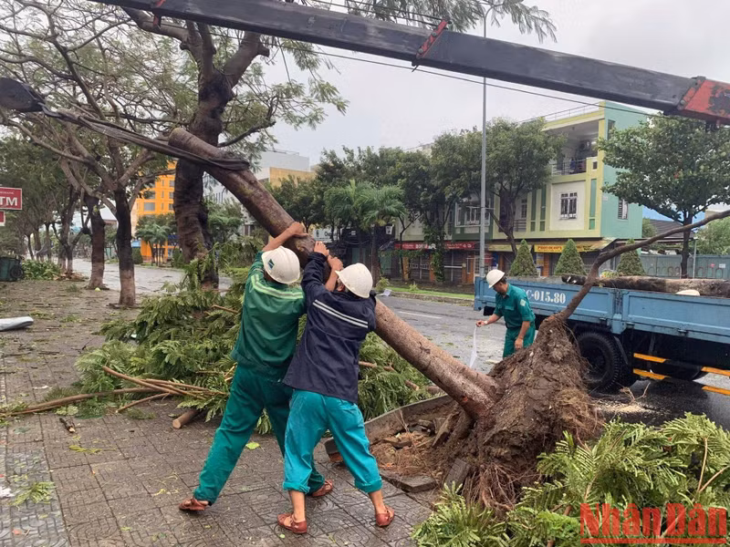 各地方正在紧急开展台风过后恢复重建工作。
