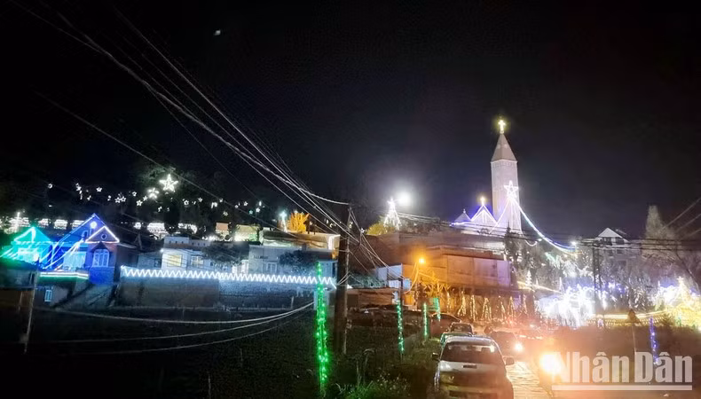 大叻市郊区的圣母堂区。