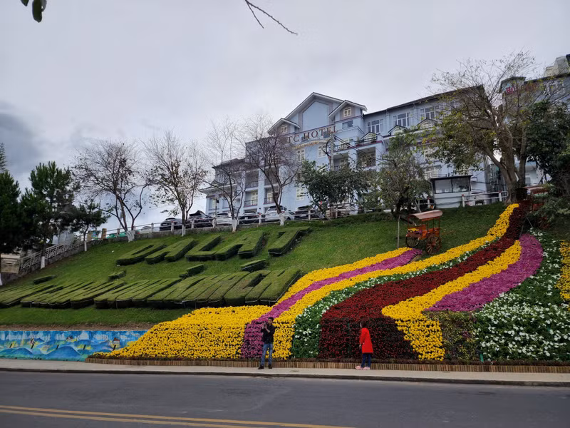 大叻市花卉节。（图片来源：青年报）