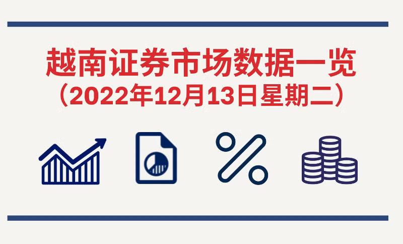 2022年12月13日越南证券市场数据一览【图表新闻】