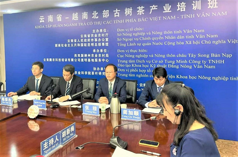 越中古树茶产业培训班开班仪式。