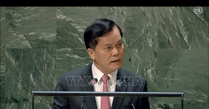 越南外交部副部长何金玉。（图片来源：越通社）