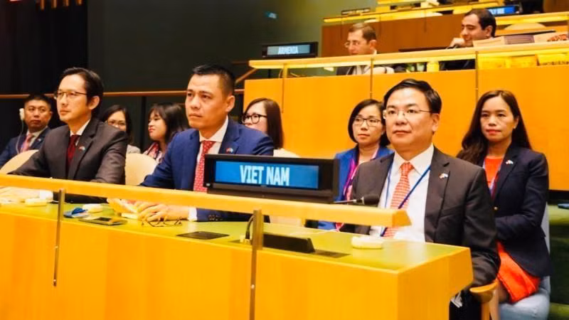 越南代表团出席会议。（图片来源：越南外交部）