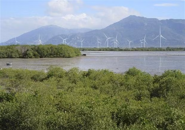 附图。（图片来源：越通社）