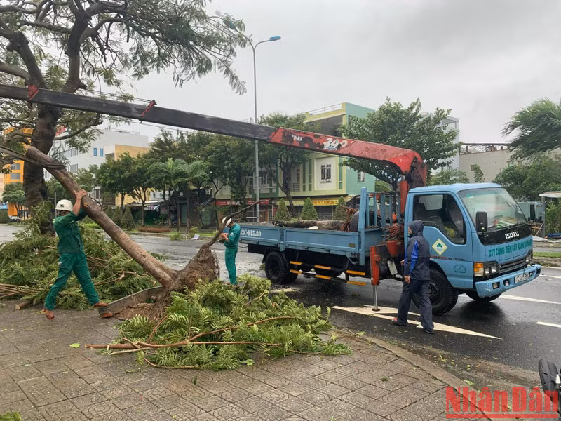 克服台风造成的后果。