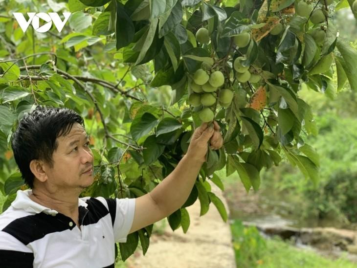 黄仲勇老农。（图片来源：越南之声）