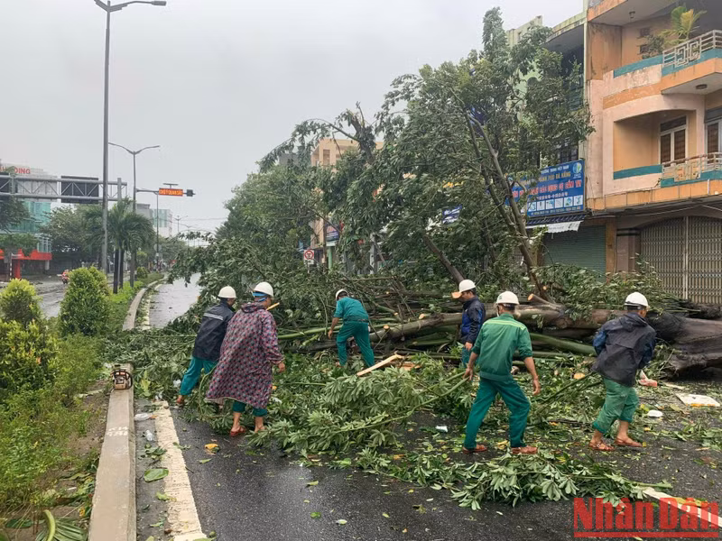 克服第4号台风造成的后果。