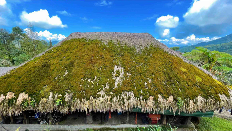 苔藓民舍——越南河江省西昆岭居民的独特民舍。